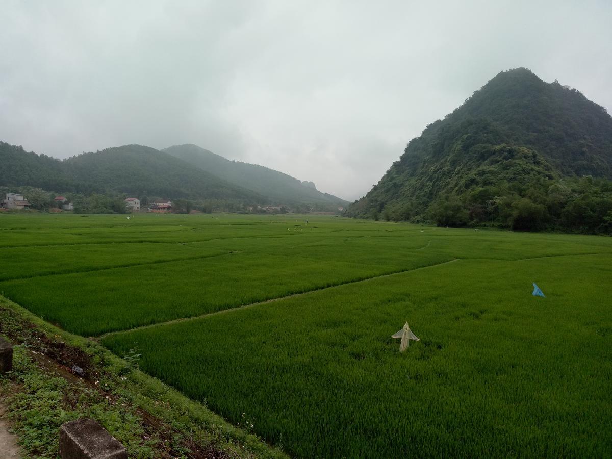 Phong Nha Rice Field Homestay Экстерьер фото