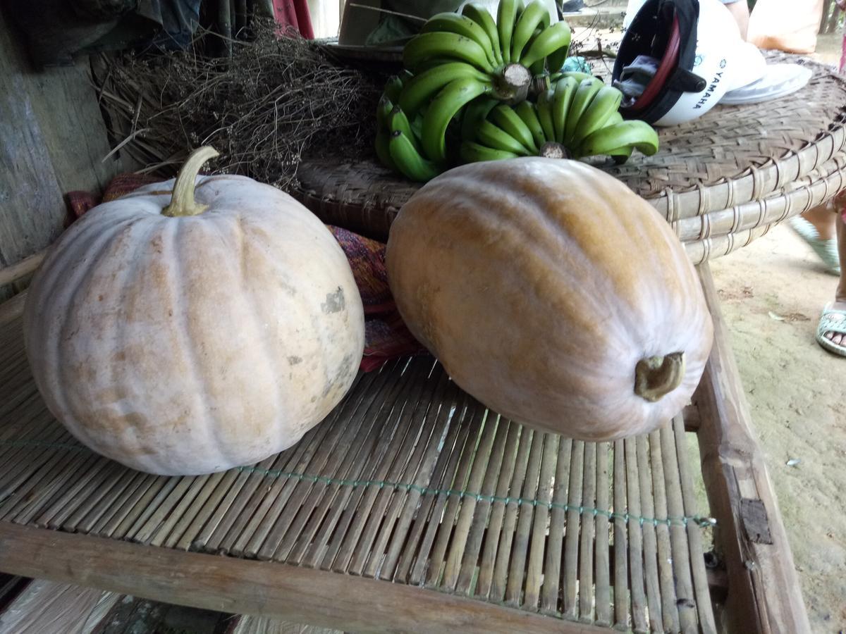 Phong Nha Rice Field Homestay Экстерьер фото