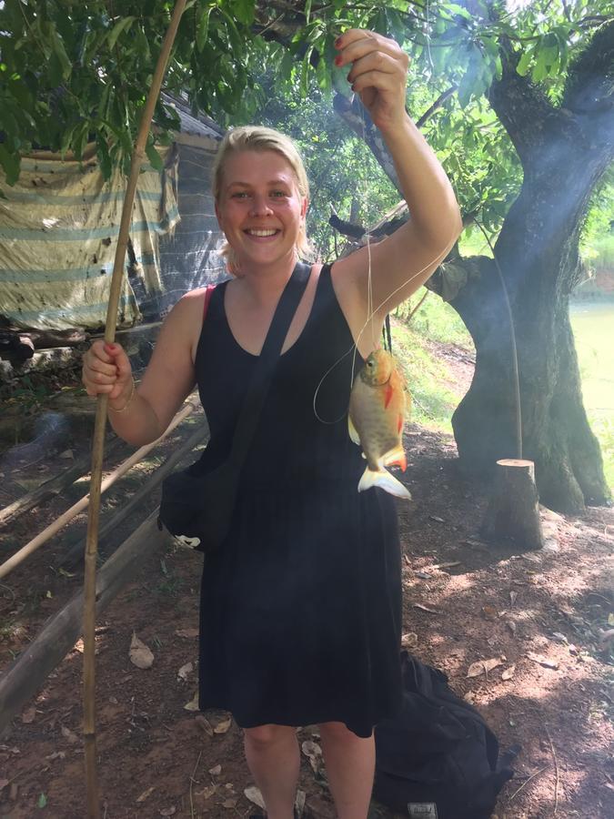 Phong Nha Rice Field Homestay Экстерьер фото