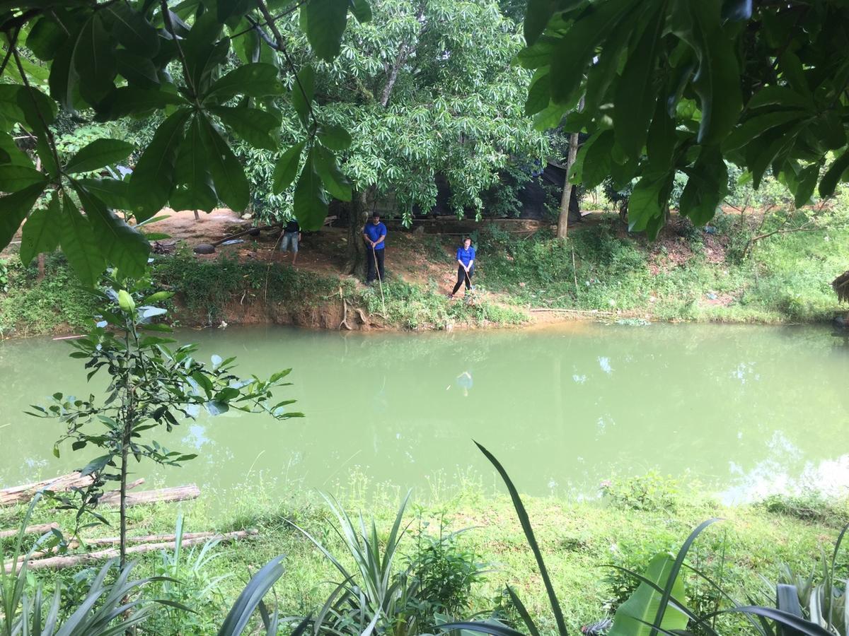 Phong Nha Rice Field Homestay Экстерьер фото