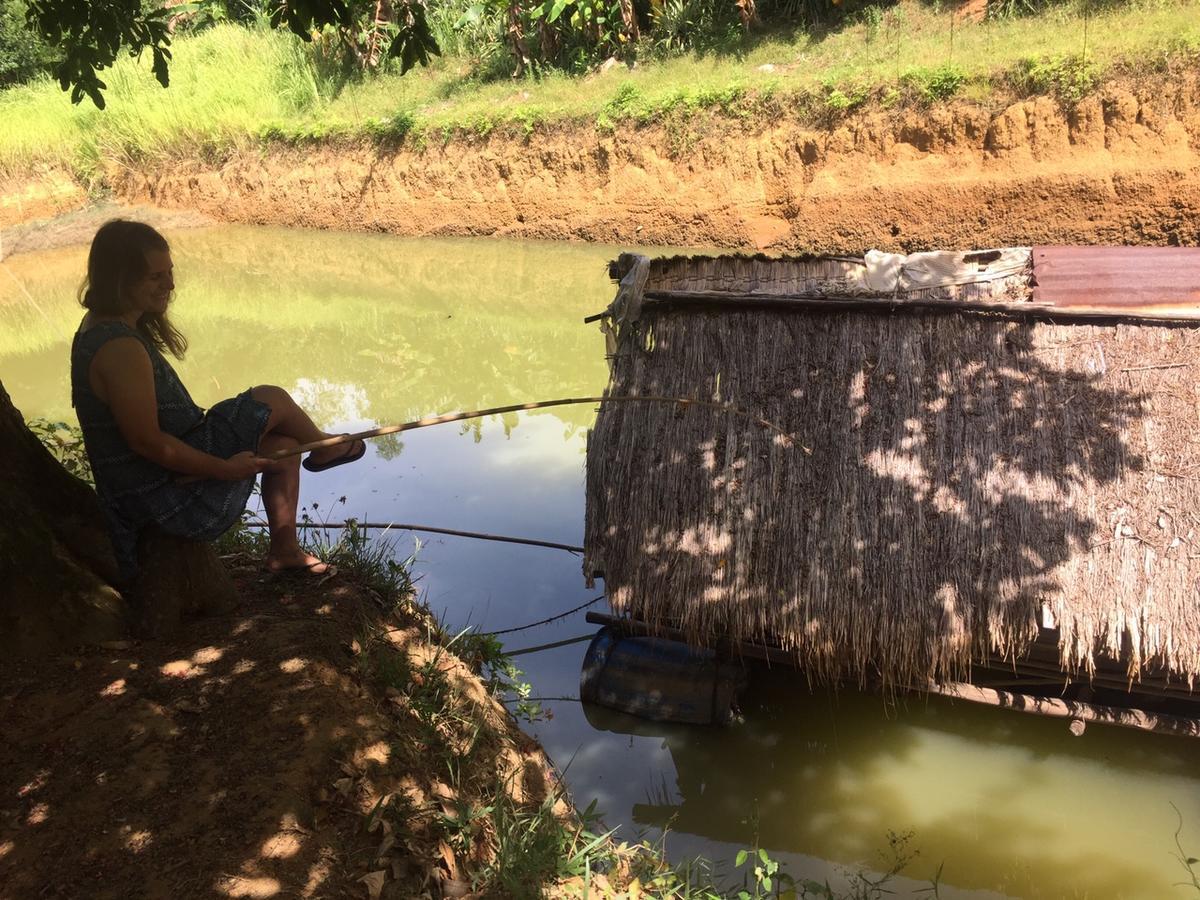 Phong Nha Rice Field Homestay Экстерьер фото