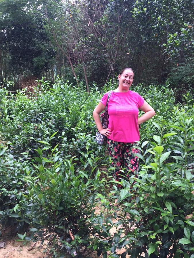 Phong Nha Rice Field Homestay Экстерьер фото