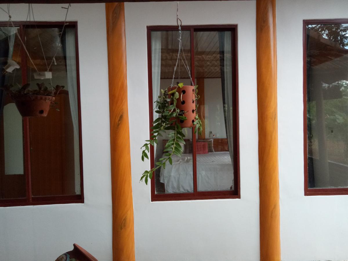 Phong Nha Rice Field Homestay Экстерьер фото