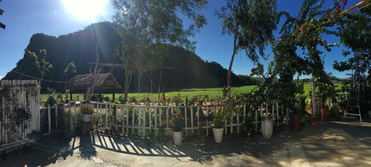 Phong Nha Rice Field Homestay Экстерьер фото